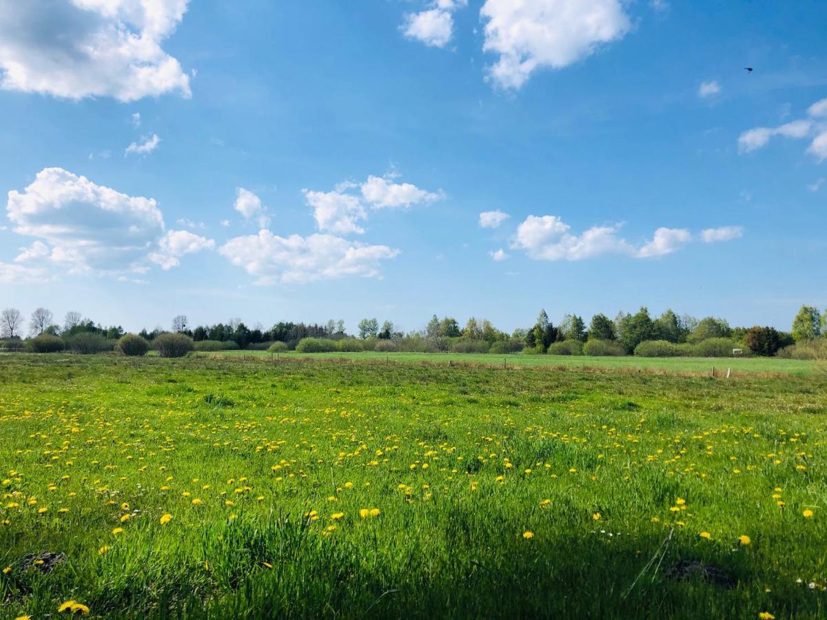 Domek Letniskowy Z Kortem Tenisowym Karwia Ostrowo Ostrowo  Exterior photo